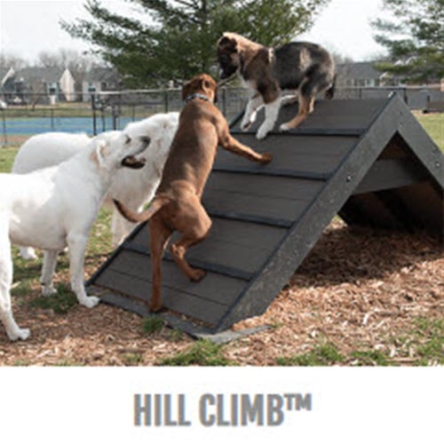 CAD Drawings BIM Models Gyms For Dogs™ Hill Climb™